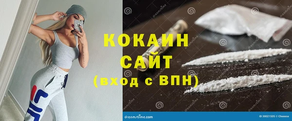 амф Бородино