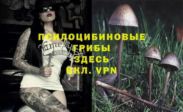 гашик Белоозёрский