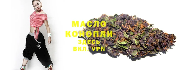 амф Бородино