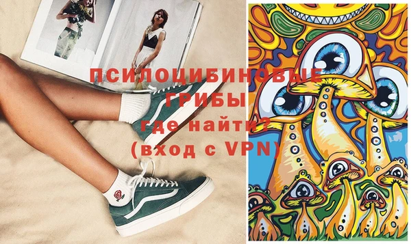 крисы Билибино