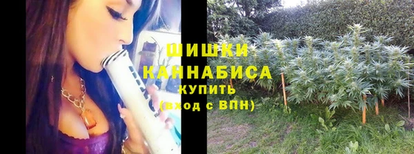 амф Бородино