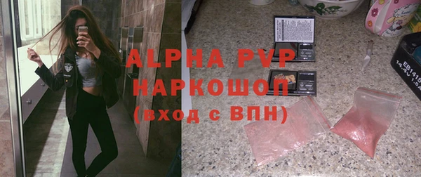 крисы Билибино