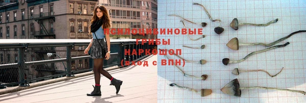 СК Бикин