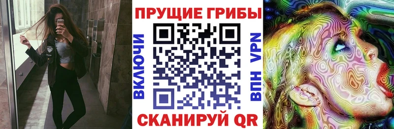 kraken зеркало  Гай  Галлюциногенные грибы GOLDEN TEACHER 