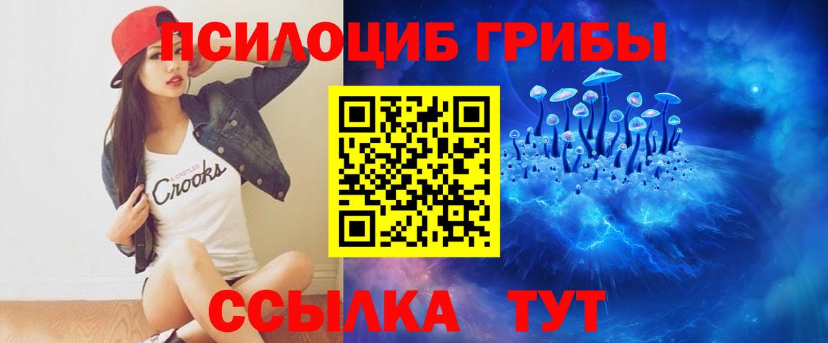 Галлюциногенные грибы мухоморы Гай